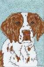 brittany spaniel red